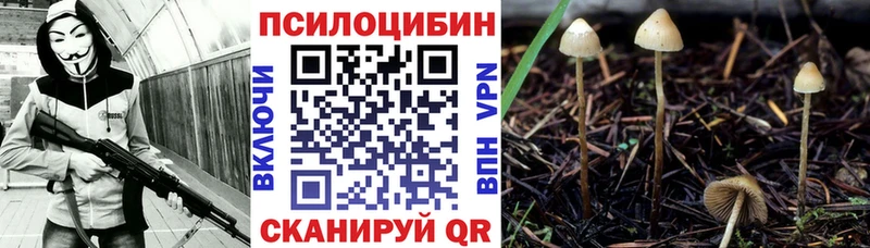 Псилоцибиновые грибы мухоморы купить цена Радужный